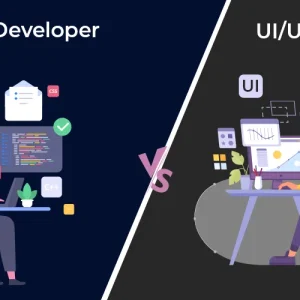 Large-Scale Website Migration and Data Transfer Management Developer